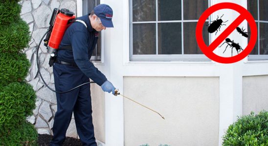 Akçadağ Tahtakurusu İlaçlama böcek ilaçlama ve haşere kontrolü — ilaclama-tr.com